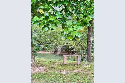 250 Hook Road NE, Ranger, GA 30734 - Photo 111