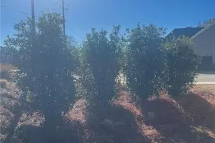 7310 Winderlea Ln, Cumming, GA 30040 - Photo 45