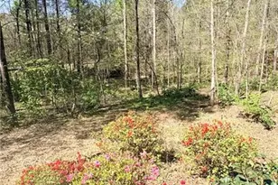 2250 Plantation Rd, Lawrenceville, GA 30044 - Photo 67