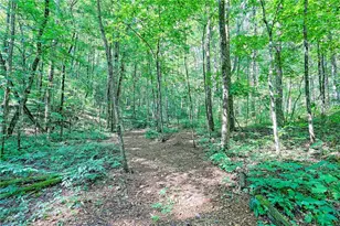 876 Whitetail Trl, Clayton, GA 30525 - Photo 89