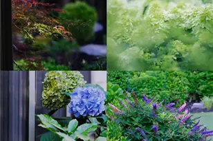 10600 Grandview Sq, Johns Creek, GA 30097 - Photo 79