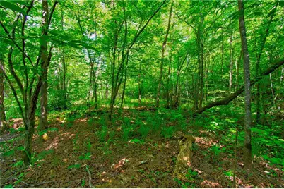 5.31 Tom Bell Odom Road, Dahlonega, GA 30533 - Photo 13