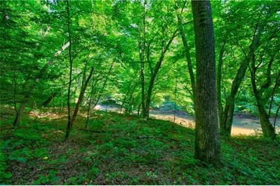 5.31 Tom Bell Odom Road, Dahlonega, GA 30533 - Photo 3