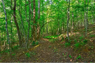 5.31 Tom Bell Odom Road, Dahlonega, GA 30533 - Photo 9