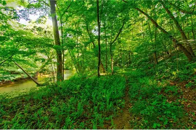 5.31 Tom Bell Odom Road, Dahlonega, GA 30533 - Photo 5