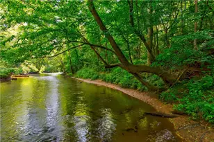 531 Tom Bell Odom Rd, Dahlonega, GA 30533 - Photo 1