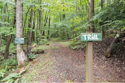 27 Laurel Lane, Ellijay, GA 30536 - Photo 51