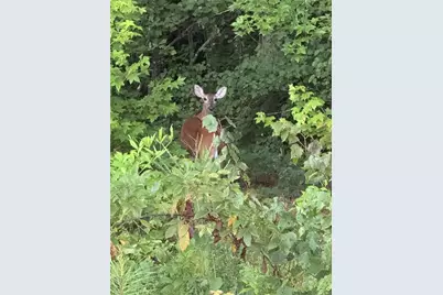 1270 McGarity Road, Temple, GA 30179 - Photo 57