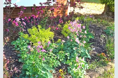 441 Shore Drive, Suwanee, GA 30024 - Photo 51