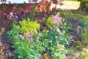 441 Shore Dr, Suwanee, GA 30024 - Photo 51