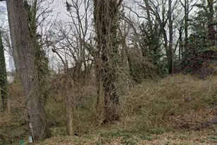 0 Lumpkin St, East Point, GA 30344 - Photo 1