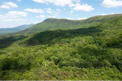 2471 52 Highway, Chatsworth, GA 30705 - Photo 5