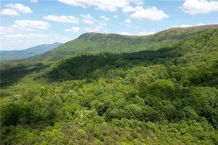 2471 52 Hwy, Chatsworth, GA 30705 - Photo 5