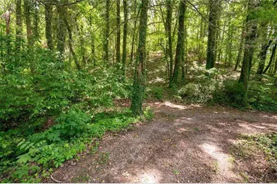 2471 52 Highway, Chatsworth, GA 30705 - Photo 29