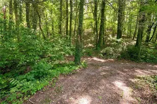 2471 52 Hwy, Chatsworth, GA 30705 - Photo 29