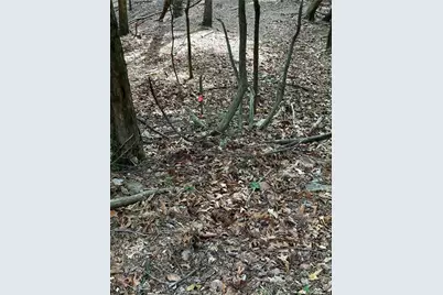 1225 Oglethorpe Road, Jasper, GA 30143 - Photo 15