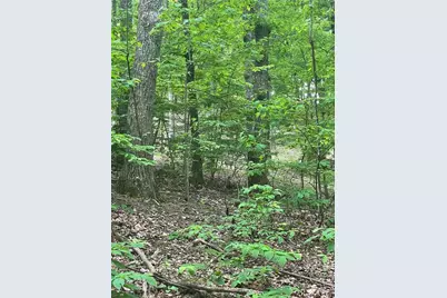 1225 Oglethorpe Road, Jasper, GA 30143 - Photo 5