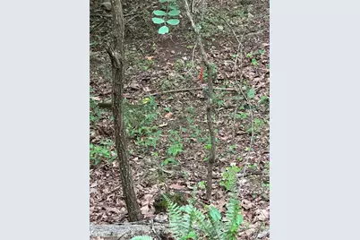 1225 Oglethorpe Road, Jasper, GA 30143 - Photo 37