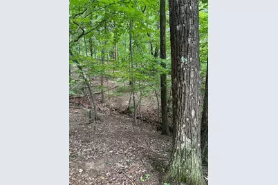 1225 Oglethorpe Road, Jasper, GA 30143 - Photo 19