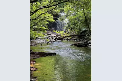 1225 Oglethorpe Road, Jasper, GA 30143 - Photo 11