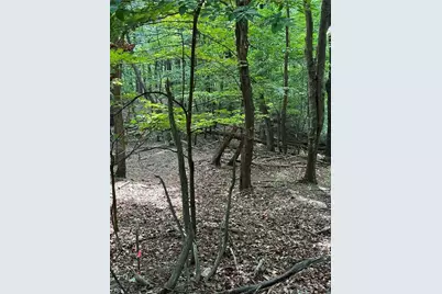 1225 Oglethorpe Road, Jasper, GA 30143 - Photo 13