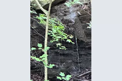 1225 Oglethorpe Road, Jasper, GA 30143 - Photo 3