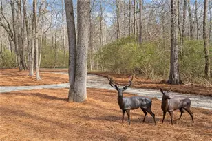 2995 Gum Creek Rd, Oxford, GA 30054 - Photo 55