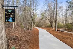 2995 Gum Creek Rd, Oxford, GA 30054 - Photo 53