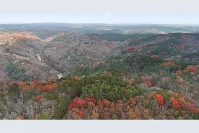 172 Hunter Drive, Talking Rock, GA 30175 - Photo 11