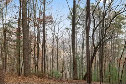 172 Hunter Drive, Talking Rock, GA 30175 - Photo 5