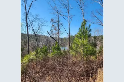 0 Lecroy Drive, Ellijay, GA 30540 - Photo 9