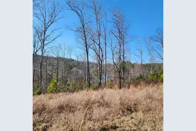 0 Lecroy Drive, Ellijay, GA 30540 - Photo 7