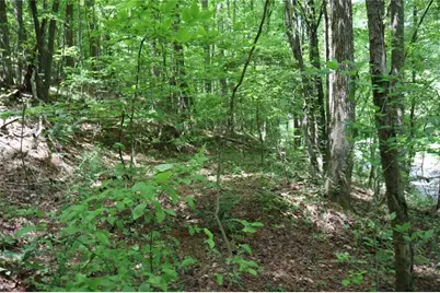 0 Parksbrook Road A, Ellijay, GA 30540 - Photo 5