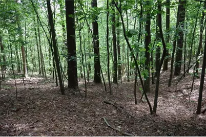 0 Parksbrook Road A, Ellijay, GA 30540 - Photo 21