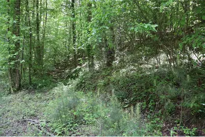 0 Parksbrook Road A, Ellijay, GA 30540 - Photo 7