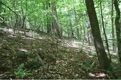 0 Parksbrook Road A, Ellijay, GA 30540 - Photo 11