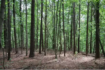 0 Parksbrook Road A, Ellijay, GA 30540 - Photo 19