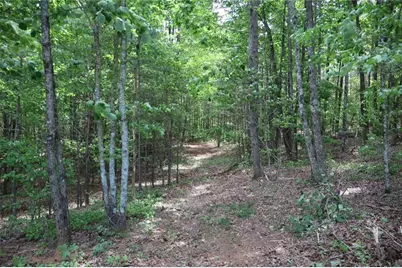 0 Parksbrook Road A, Ellijay, GA 30540 - Photo 15