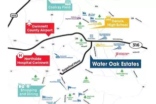 2066 Winged Elm Way N, Lawrenceville, GA 30045 - Photo 7