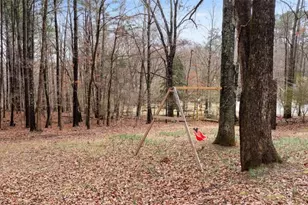 39 Ramblewood Dr, Silver Creek, GA 30173 - Photo 37