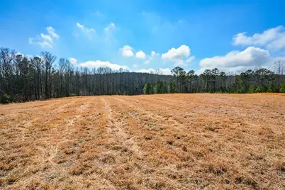 119 Inland 10 Acres Drive, Talking Rock, GA 30175 - Photo 17
