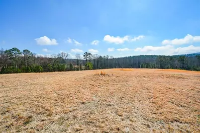 119 Inland 10 Acres Drive, Talking Rock, GA 30175 - Photo 9
