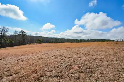 119 Inland 4 Acres Drive, Talking Rock, GA 30175 - Photo 9