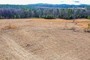 119 Inland 10 Acres Dr, Talking Rock, GA 30175 - Photo 1