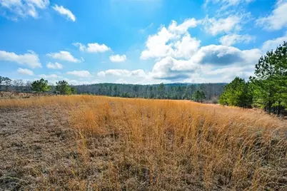 119 Inland 5 Acres Drive, Talking Rock, GA 30175 - Photo 9