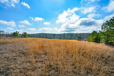 119 Inland 5 Acres Drive, Talking Rock, GA 30175 - Photo 3