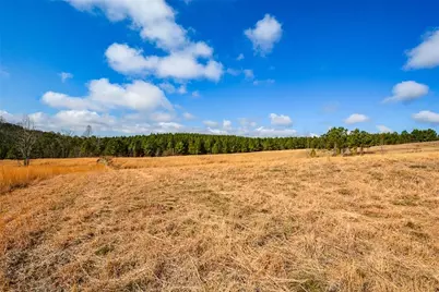 119 Inland 5 Acres Drive, Talking Rock, GA 30175 - Photo 7