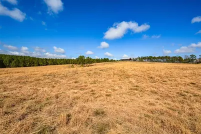 119 Inland 6 Acres Drive, Talking Rock, GA 30175 - Photo 11