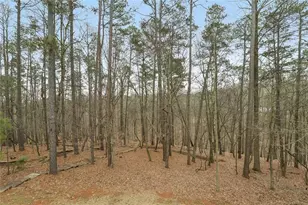 5382 Pine Forest Rd, Gainesville, GA 30504 - Photo 51