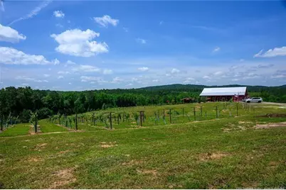 119 Inland 2 Drive, Talking Rock, GA 30175 - Photo 9